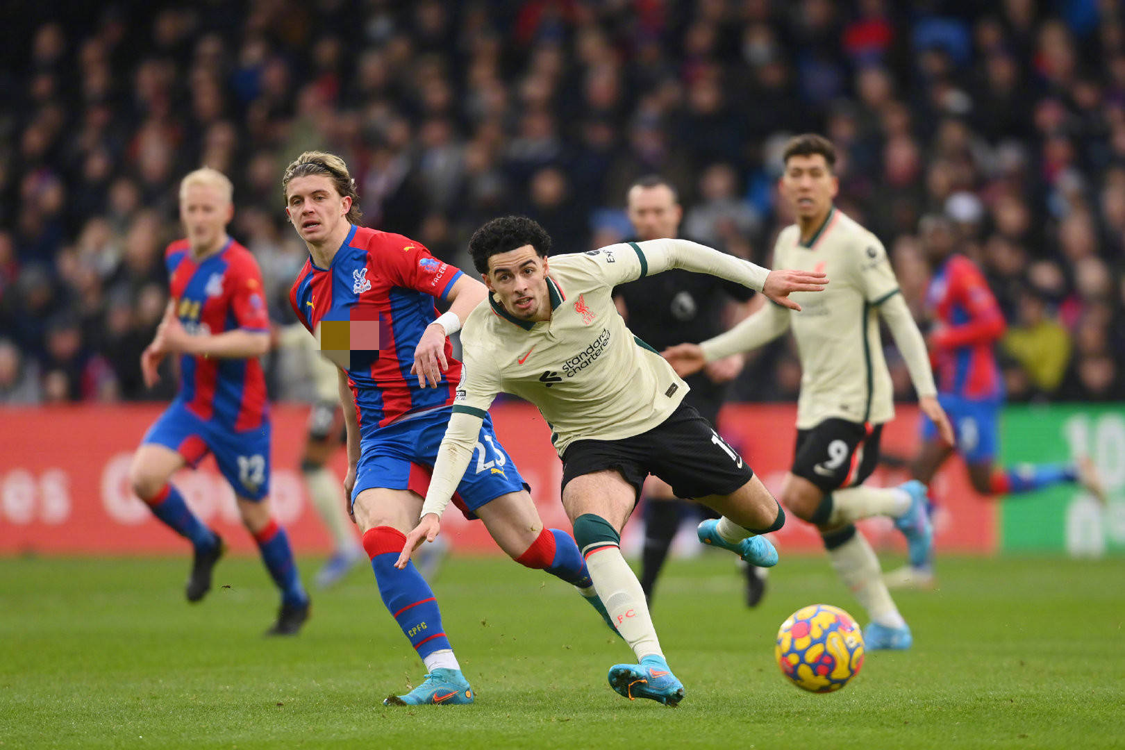 選舉或人事 選舉或人事